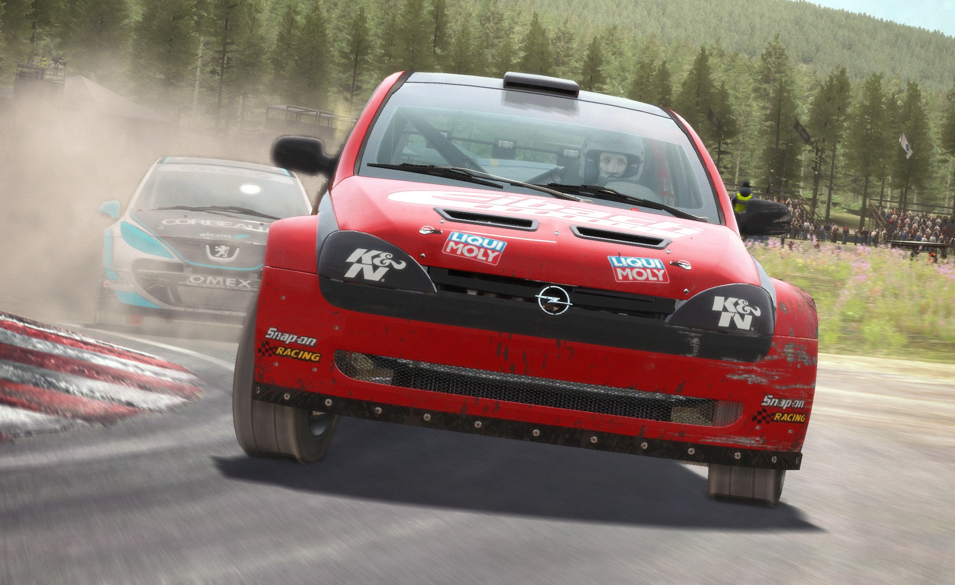 DiRT Rally - Imagen 49